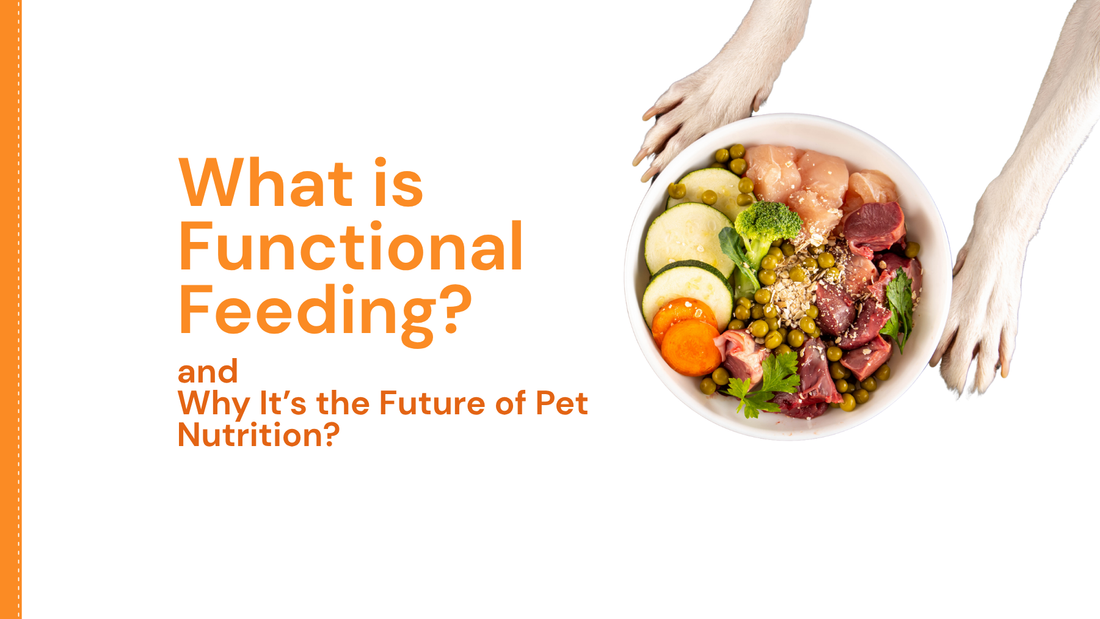 What is Functional Feeding—and Why It’s the Future of Pet Nutrition