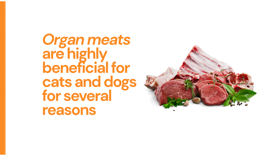 Organ meats are highly beneficial for cats and dogs for several reasons