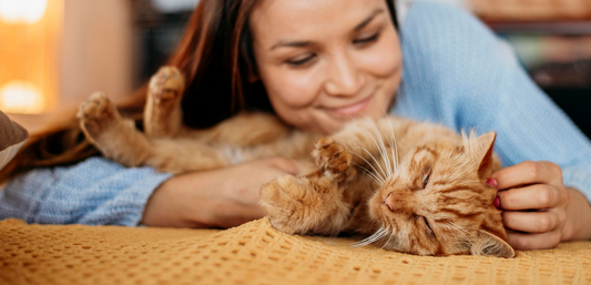 Organ meats are highly beneficial for cats and dogs for several reasons
