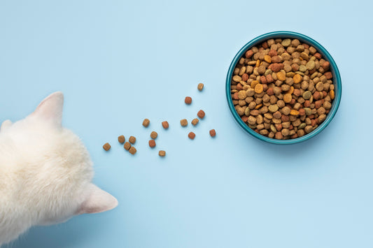 Processed dog foods may compromise pet health in various ways